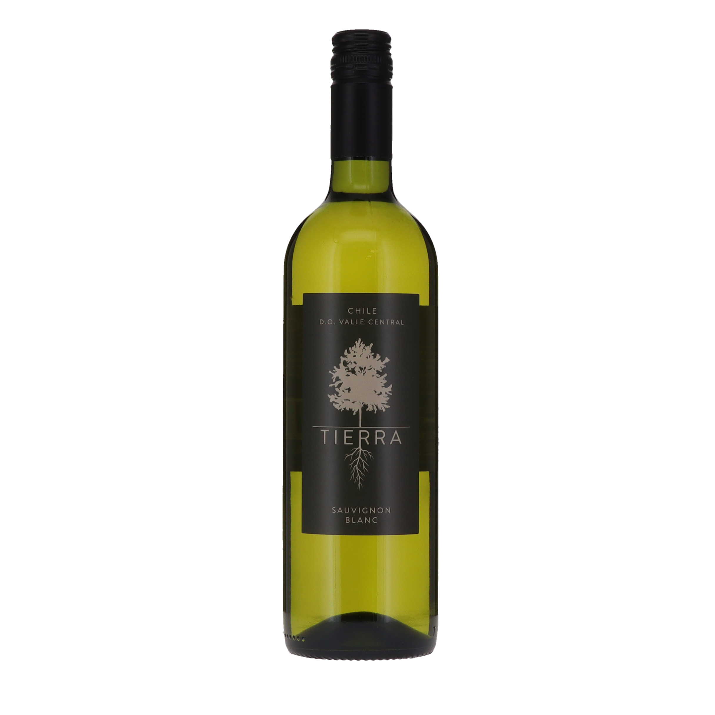 TIERRA SAUVIGNON BLANC 75x12